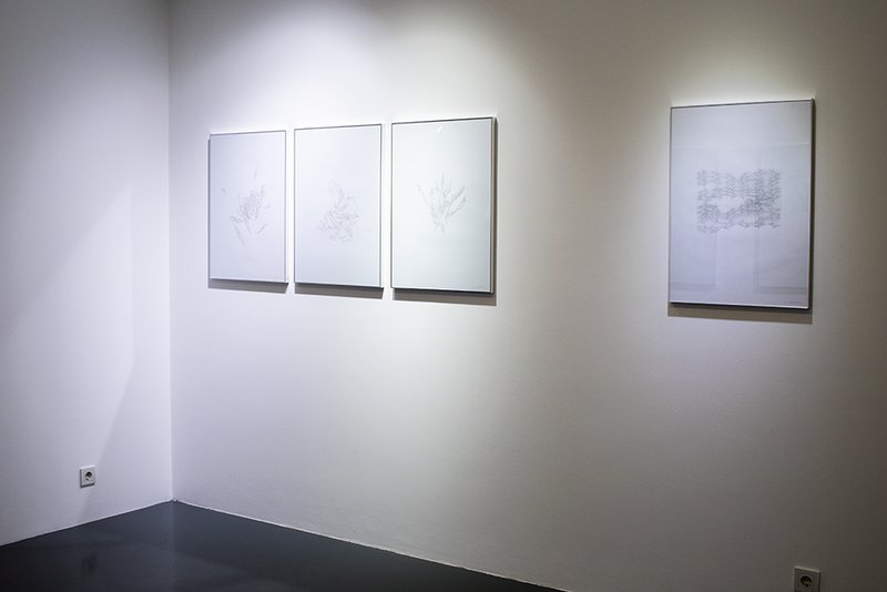 Geometry – Profiles, installation view