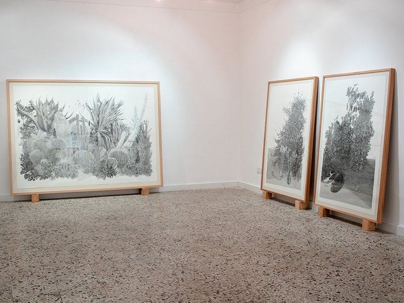 Plants in Continuance, installation view