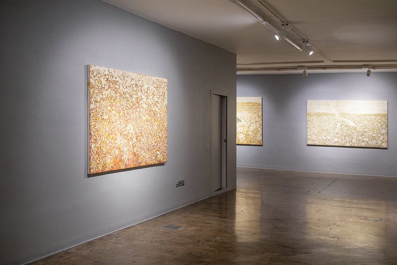 A Duo Exhibition , installation view