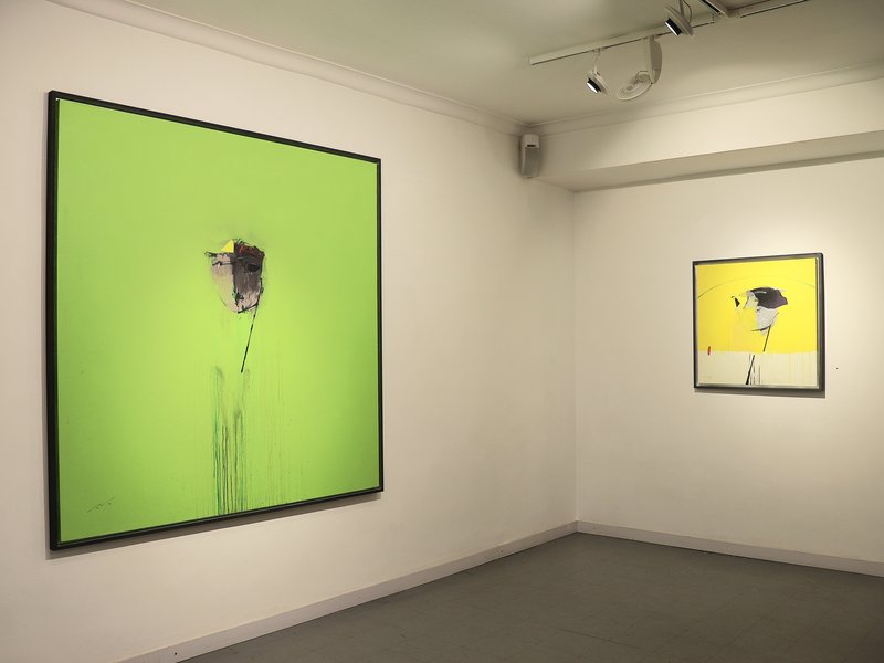 Installation view.