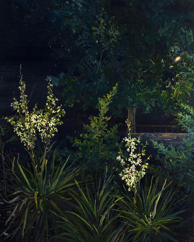 Saeed Khaleghi, Untitled, 2020