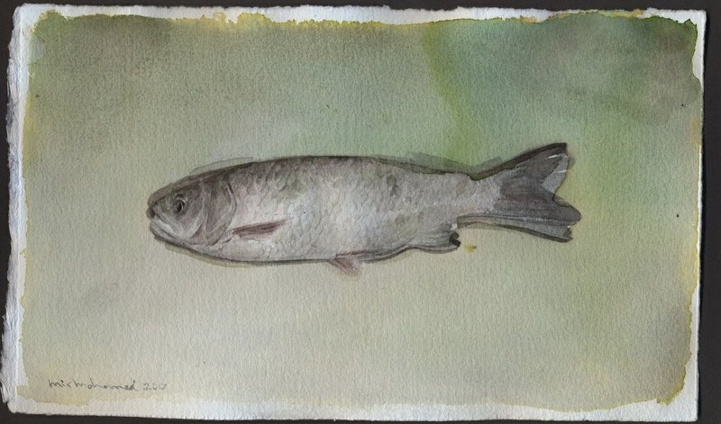 Mirmohamad Fatahi, Untitled, 2017
