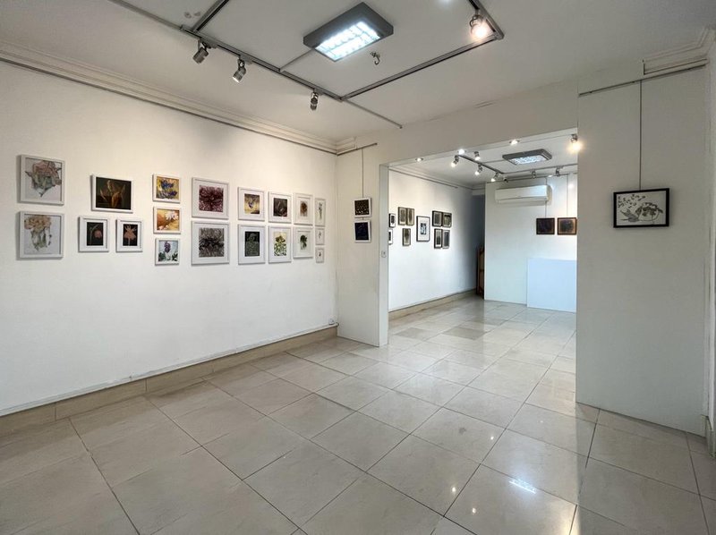 Wild Flowers, installation view