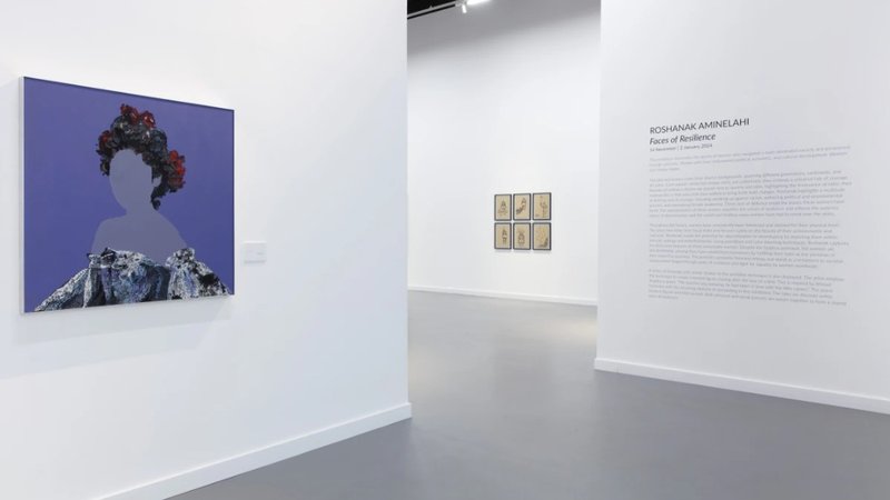 Faces of Resilience, installation view