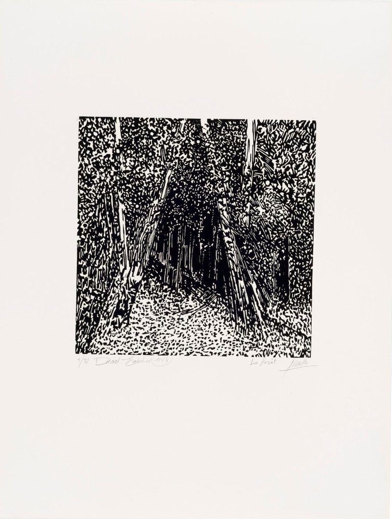 Davood Emdadian, La Foret, 1978