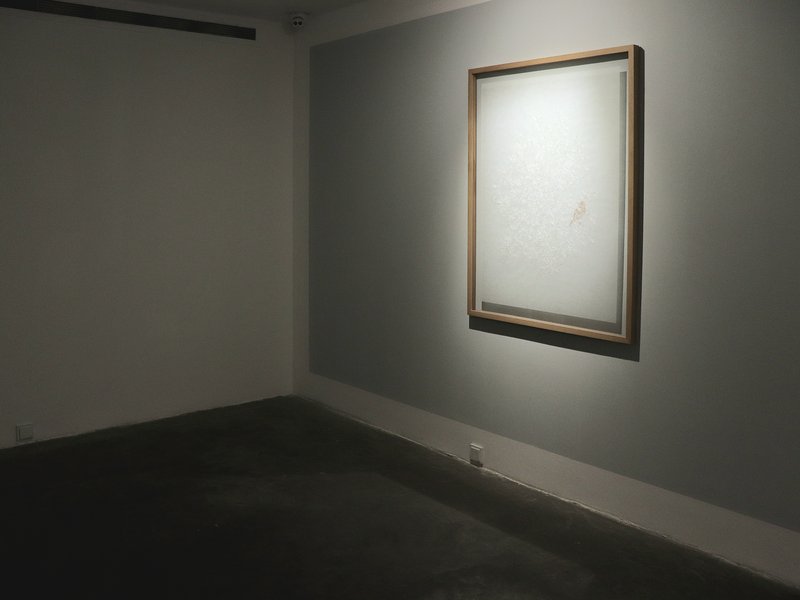 Skin, installation view