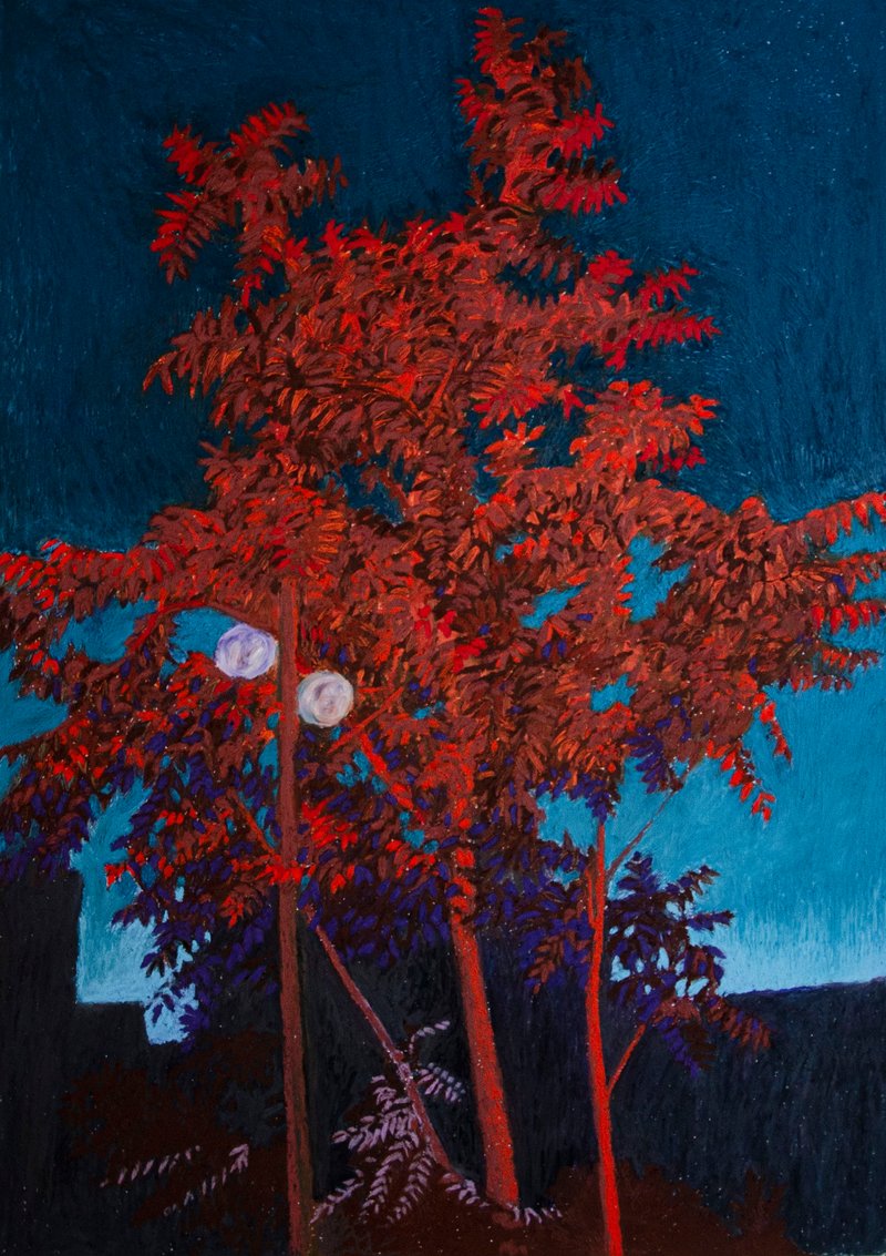 Anahita Darab Beigi, Tehran After The Sunset, 2021