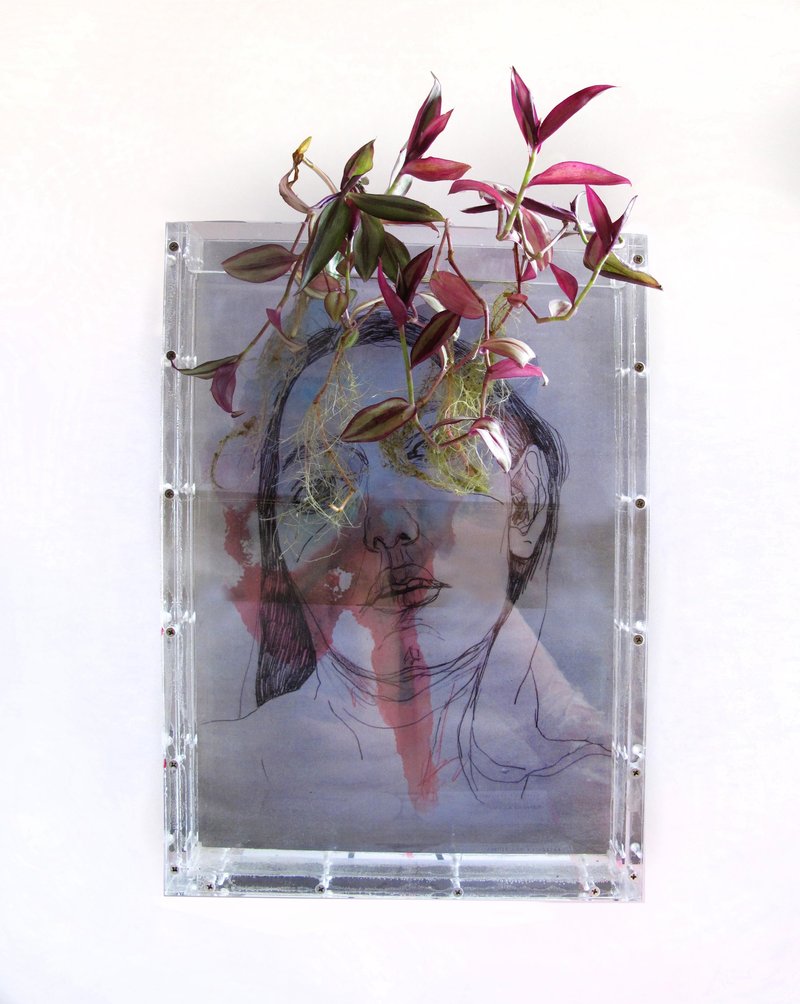 Pooneh Oshidari, Amnesia, 2016