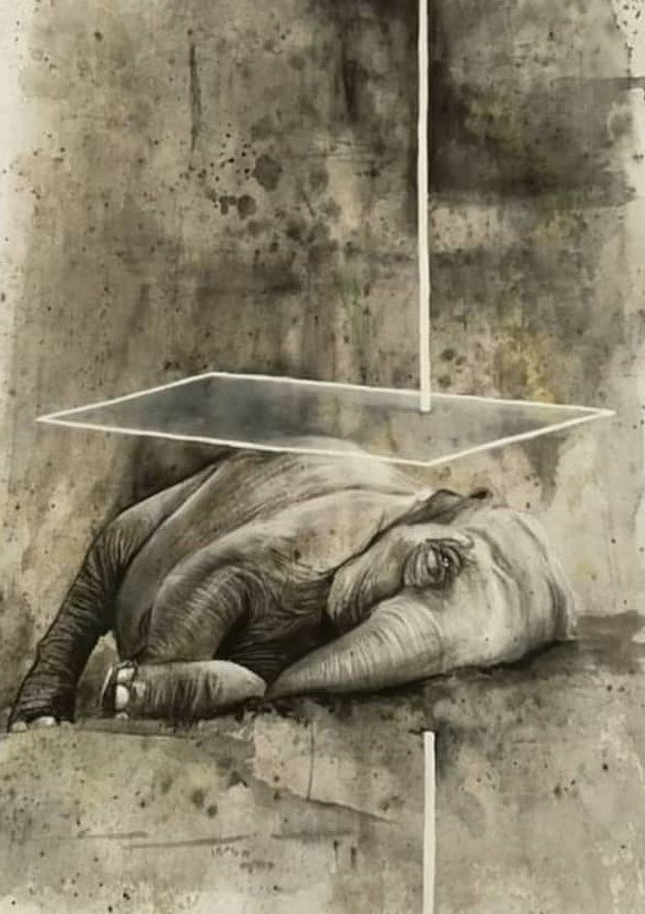 Leila Refaahi, Untitled, 0