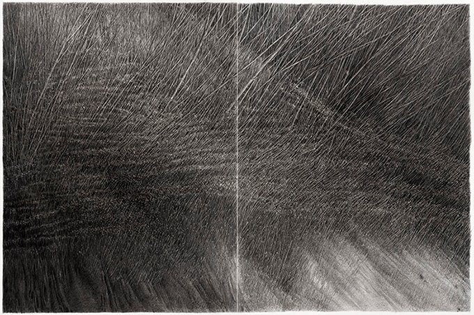 Nafiseh Sedighi, Untitled, 2019