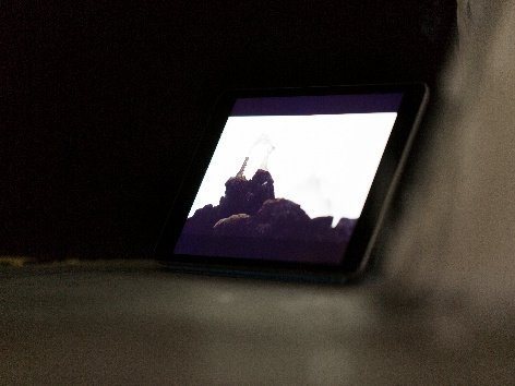 Memebrain, Installation view.