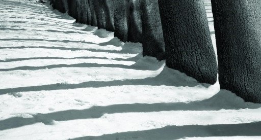 Abbas Kiarostami, Untitled, 2009