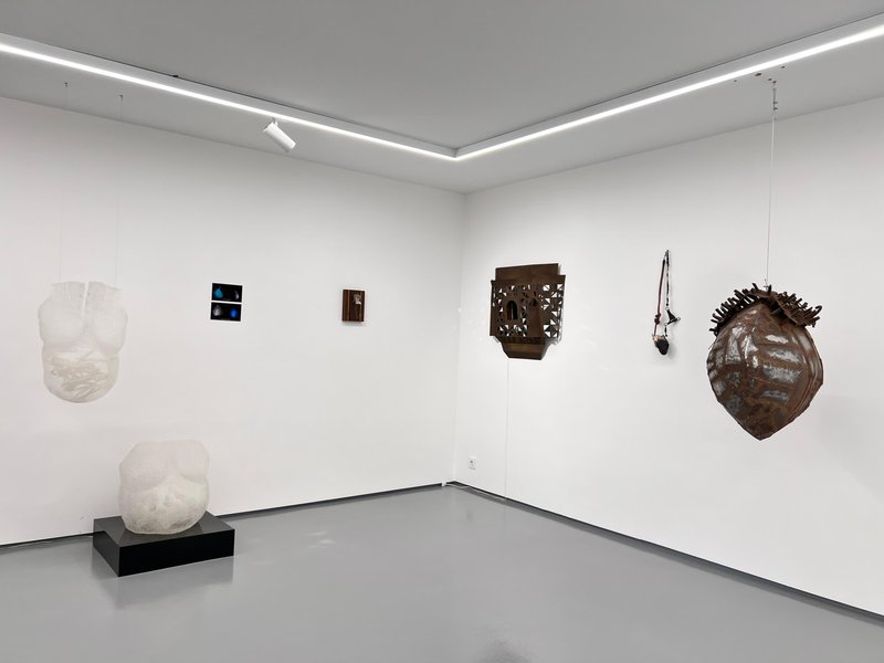 The Jewel Split Open and the Thought Came Out , installation view