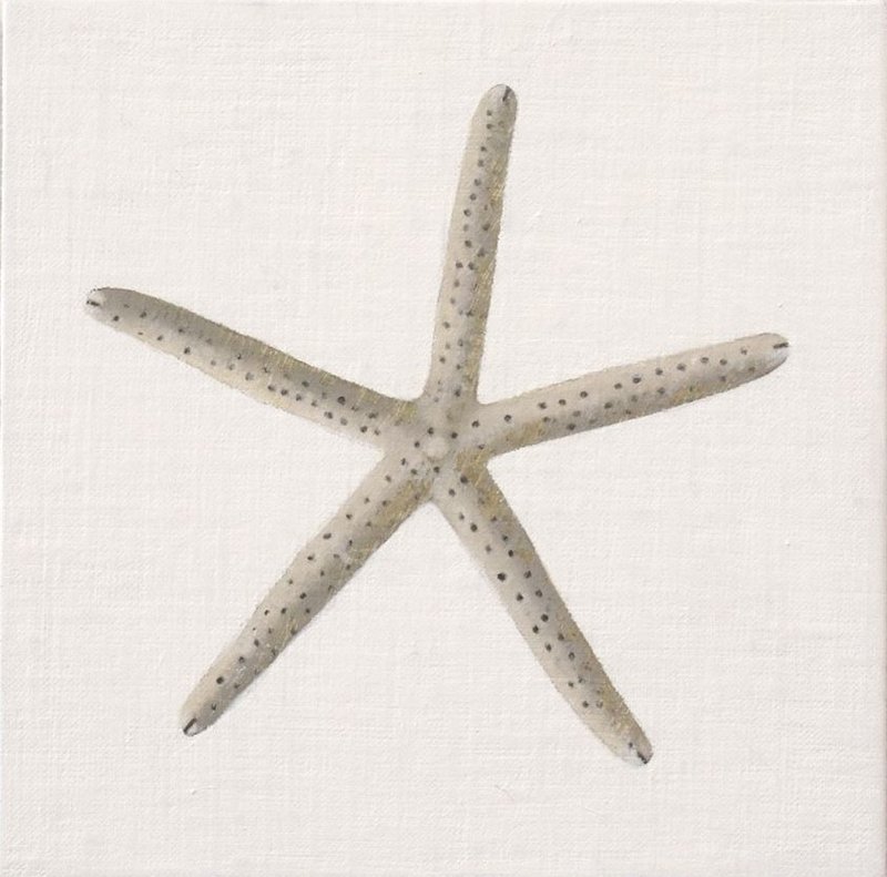 Maryam Amiryani, Shelter: Starfish, 2024