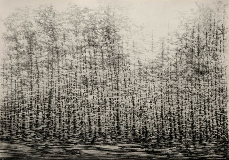 Mahsa Arabzadeh, Untitled, 2021