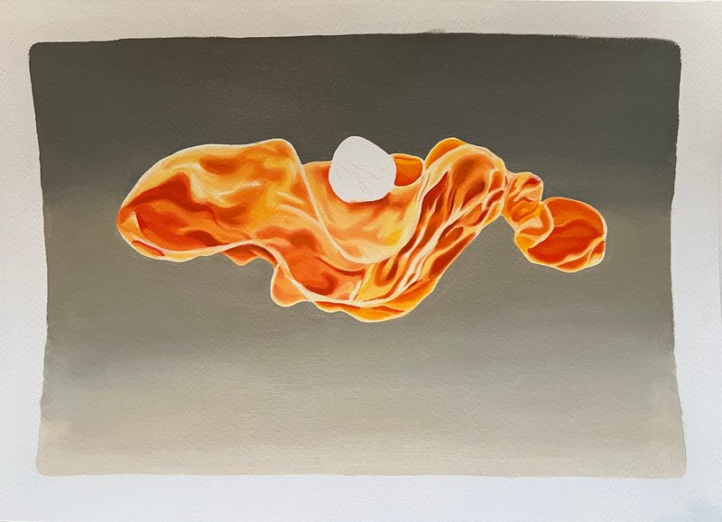 Nima Zaare Nahandi, Study 2, 2023