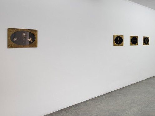 Annotations for Laili, installation view