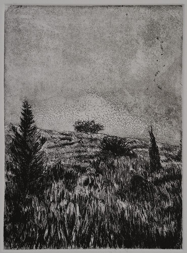 Samaneh Samimi, Untitled, 2020