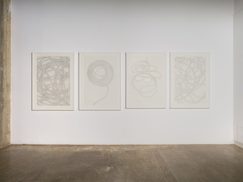 Extensions of A Collapsing Landscape, Intubated Futures, installation view