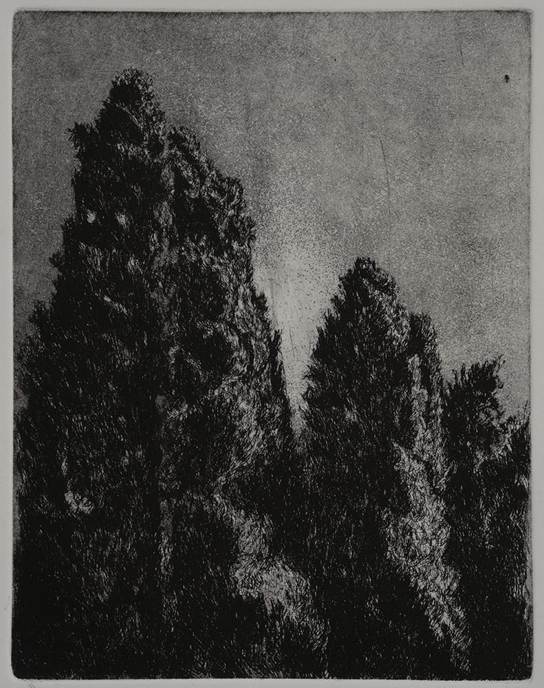 Samaneh Samimi, Untitled, 2021