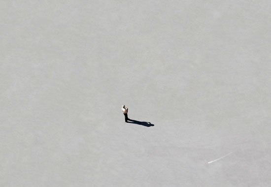 Mohammadreza Mirzaei, Untitled, 0