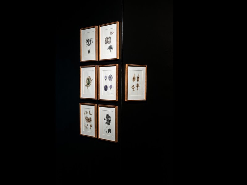 Locus, installation view