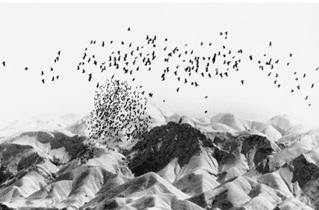 Abbas Kiarostami, Untitled, 0