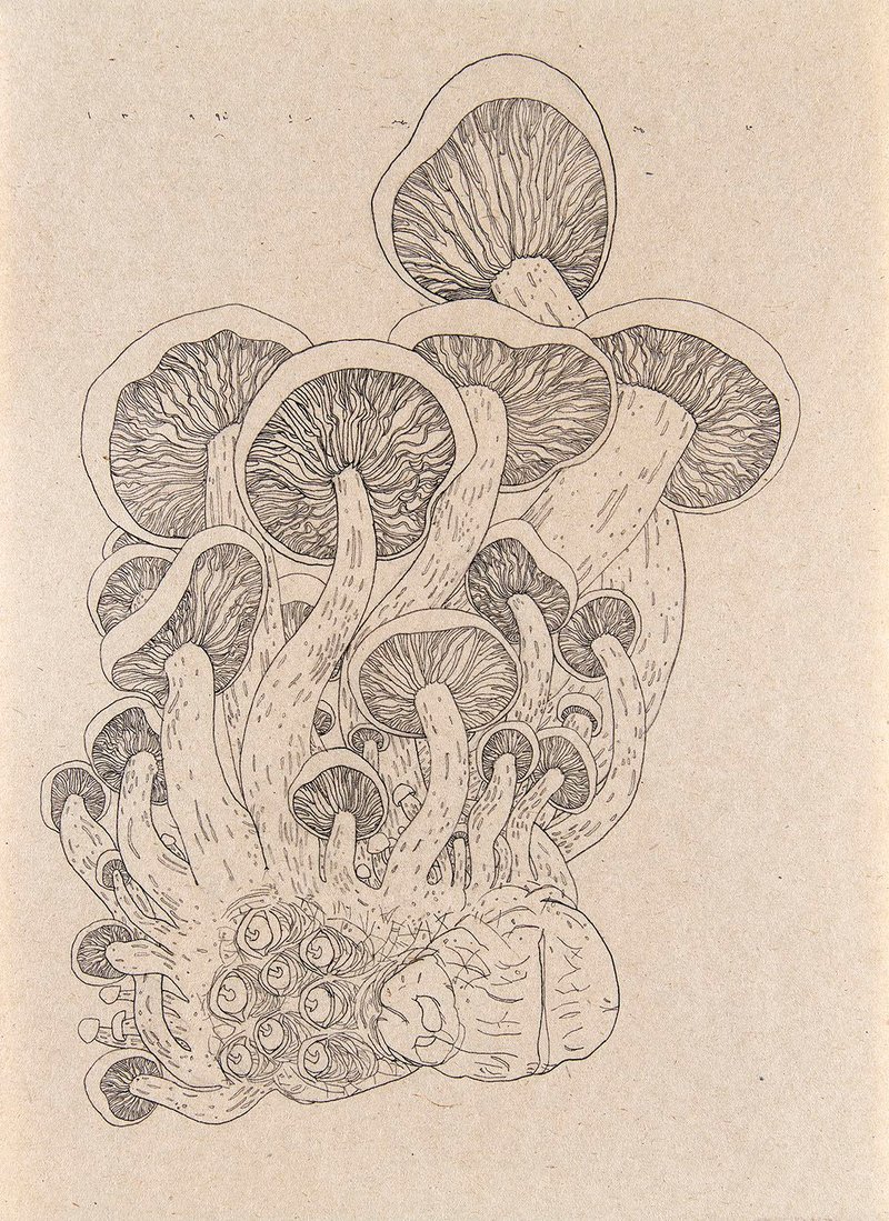 Nahid Behboodian, Untitled, 2020