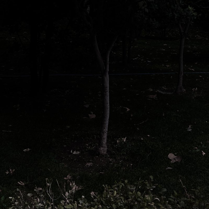 Kimia Askarian, Untitled, 2023