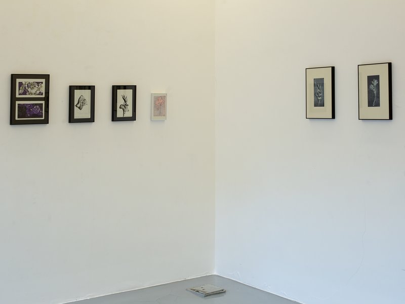 Indefinite Tokens, installation view