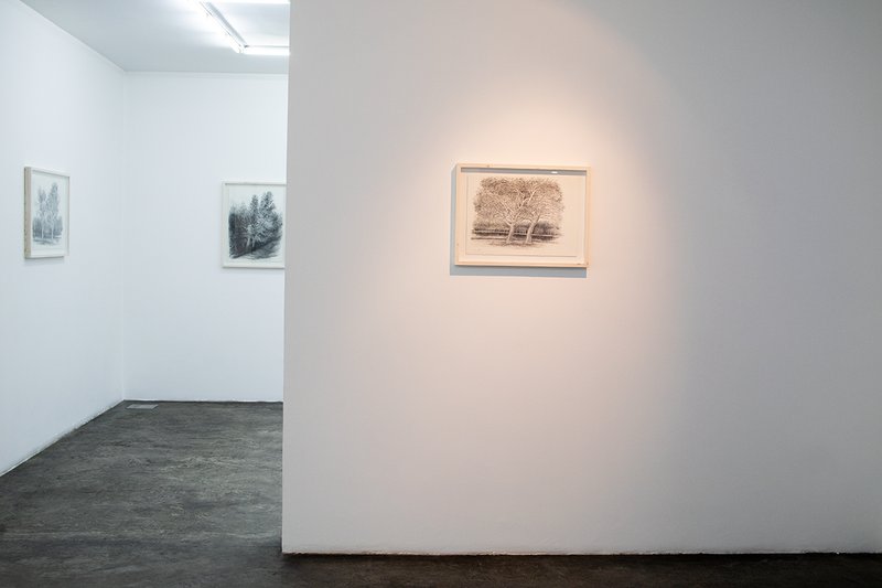 Always the Same Tree, installation view