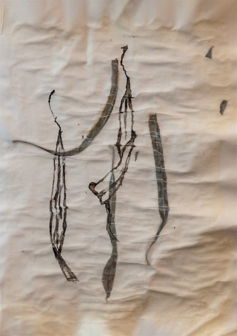 Hedie Khanali, Untitled, 2020