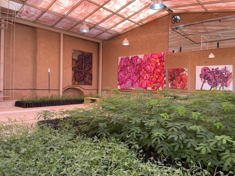 نمای چیدمان.