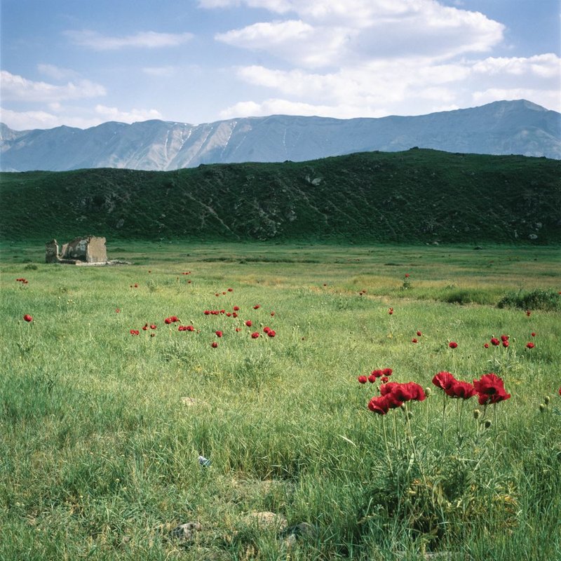 اشکان دانشمند، بدون عنوان