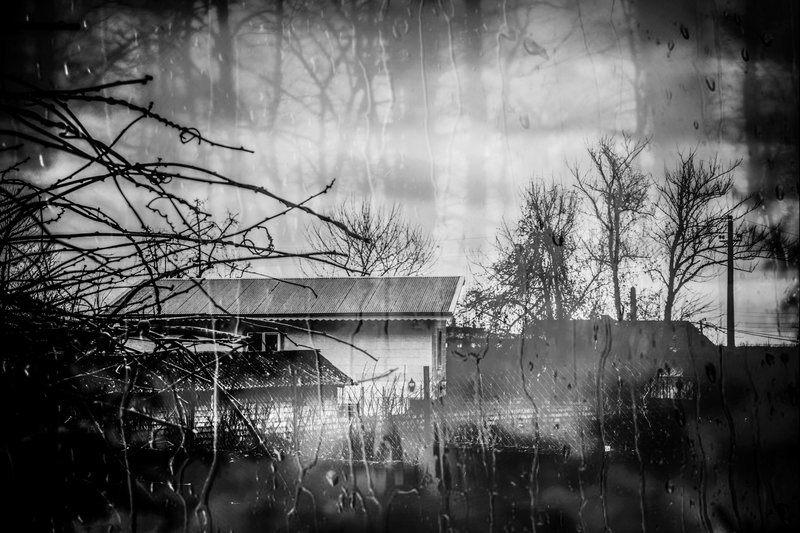 Narges Ranjbar, Untitled, 0
