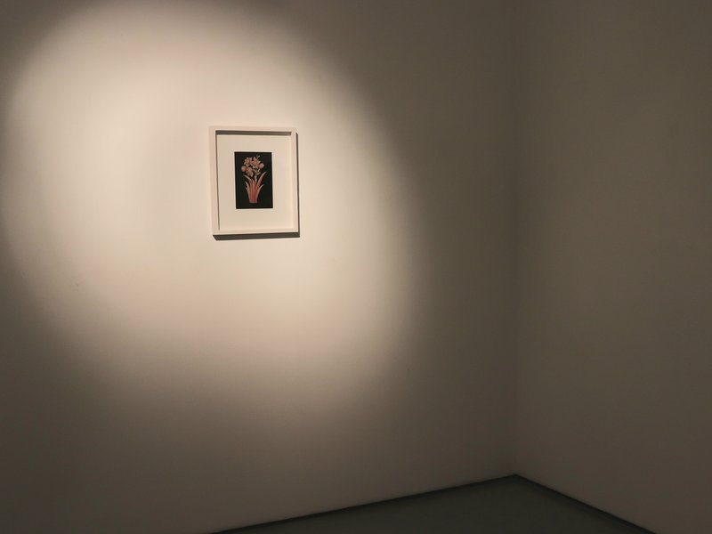 Dawn Chorus, installation view