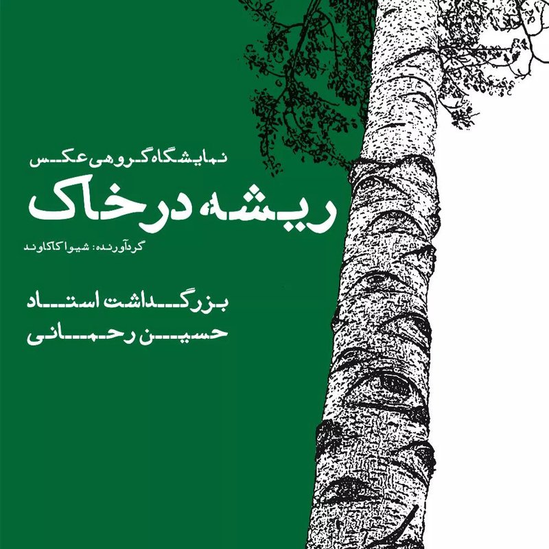 ریشه در خاک