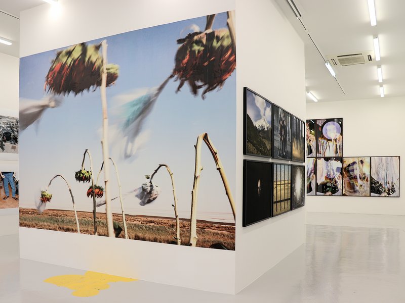 And They Laughed at Me, installation view