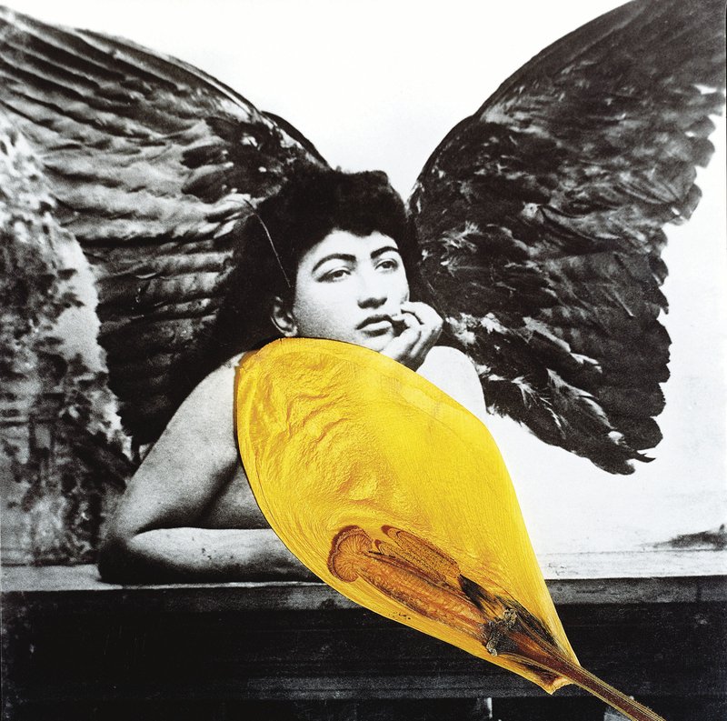Bahman Jalali, Image of Imagination, 2007