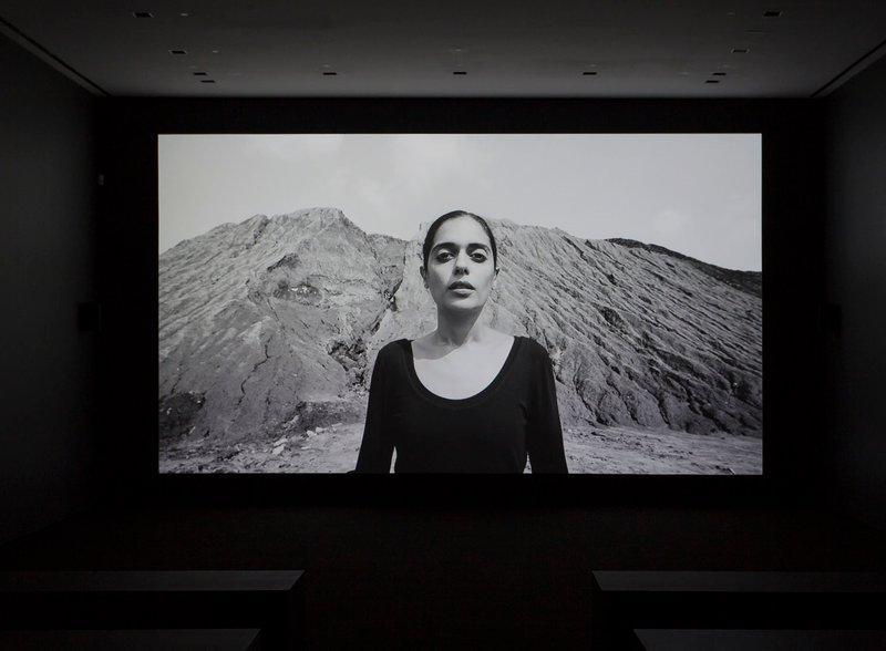 Shirin Neshat: Dreamers