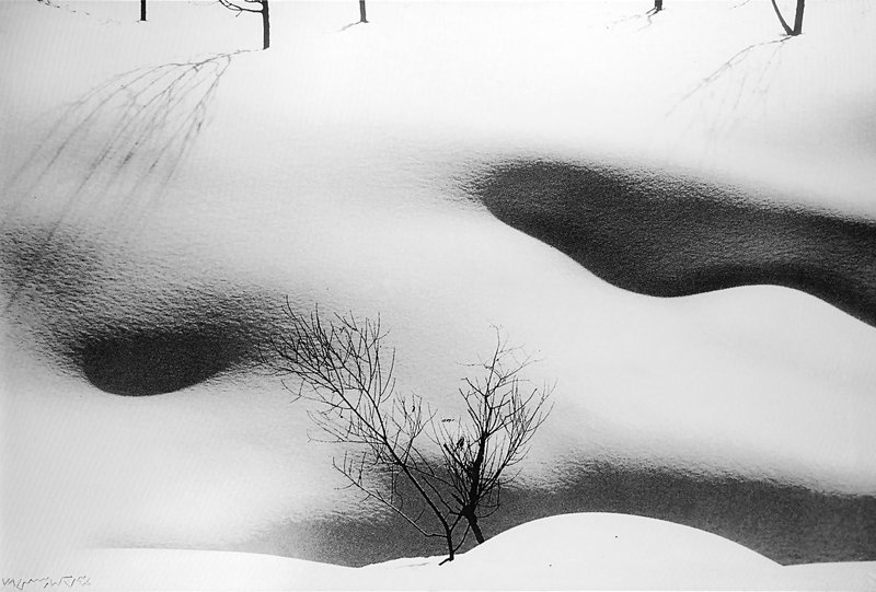 Abbas Kiarostami, Snow White, 2010