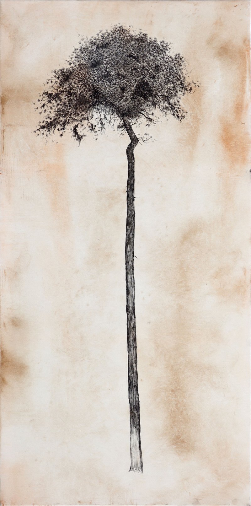 Ali Ghorbanian, Untitled, 0