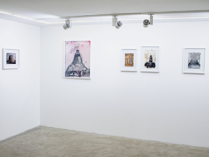 Cognations, Relations, installation view