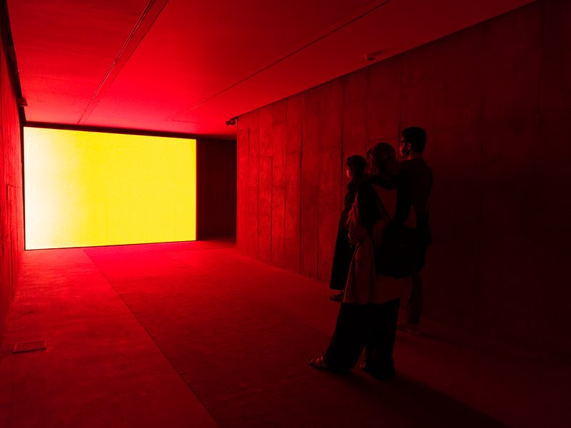 For the Sake of Calmness, installation view