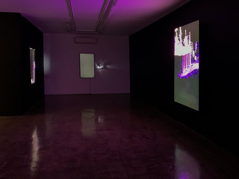 Agnosia, installation view