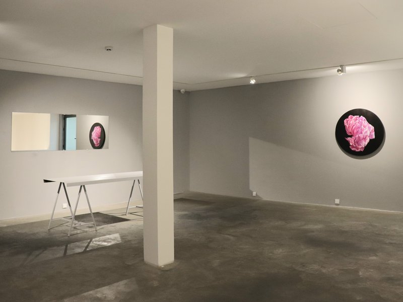 Where Is the Sun?, installation view