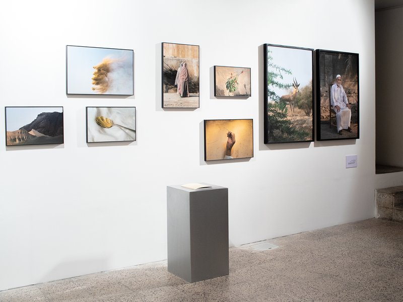 Arbitrary Lines, installation view