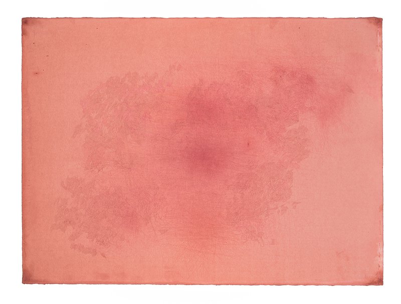 Razieh Sedighian, Untitled, 2021