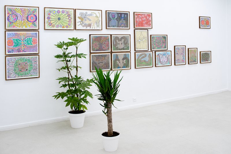 Domesticated Flowers, installation view