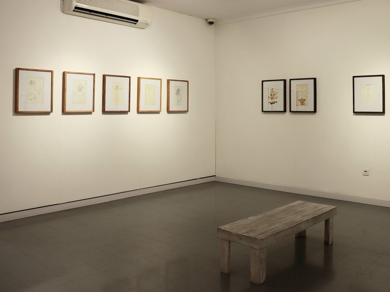 Installation view.